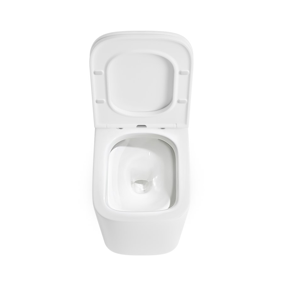 Wall Hung Rimless Toilet with Soft Close Seat - Albi