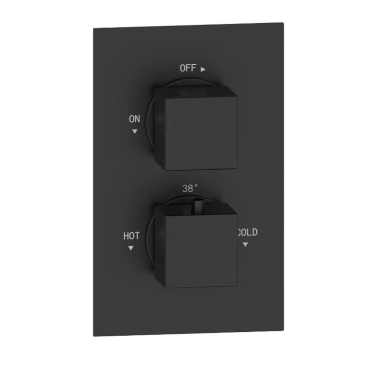 Black Single Outlet Ceiling Mounted Thermostatic Mixer Shower Set  - Zana