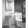 Arc Close Coupled Toilet & Seat