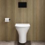 Indiana Wall Hung Toilet 1160mm Mechanical WC Frame & Cistern & Black Mechanical Flush Plate