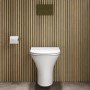 Indiana Wall Hung Toilet 1160mm Mechanical WC Frame & Cistern & Brushed Brass Mechanical Flush Plate