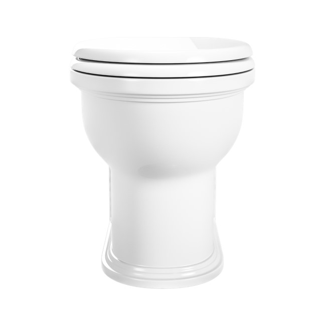 Back to Wall Rimless Toilet and Soft Close Seat - Ripley