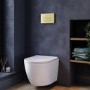 White Wall Hung Toilet with Soft Close Seat, Brushed Brass Mechanical Flush Plate with 1160mm Frame & Cistern - Roma