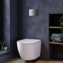 White Wall Hung Toilet with Soft Close Seat, Chrome Pneumatic Flush Plate, 1170mm Frame & Cistern - Roma