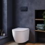 White Wall Hung Toilet with Close Seat, Black Pneumatic Flush Plate, 1170mm Frame & Cistern - Roma