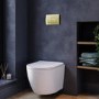 White Wall Hung Toilet with Soft Close Seat, Brushed Brass Pneumatic Flush Plate, 1170mm Frame & Cistern - Roma