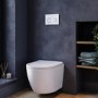 White Wall Hung Toilet with Soft Close Seat, White Glass Sensor Pneumatic Flush Plate, 1170mm Frame & Cistern - Roma