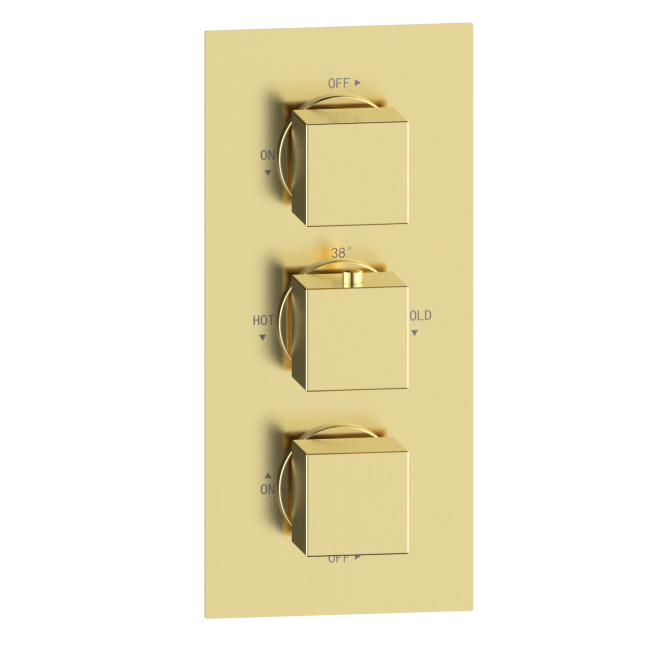 Brushed Brass Dual Outlet Wall Mounted Thermostatic Mixer Shower Set with Hand Shower - Zana