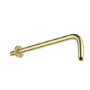 Arissa Brushed Brass 300mm Round Shower Wall Arm