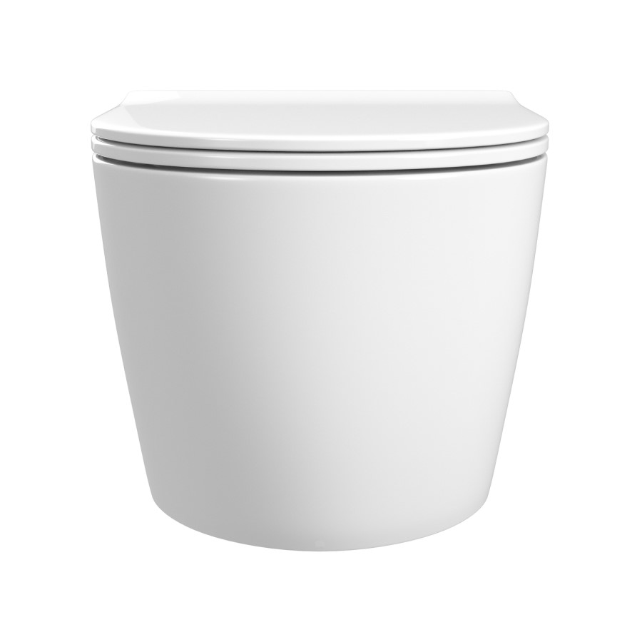 Back to Wall Rimless Toilet and Soft Close Seat - Roma