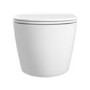 Back to Wall Rimless Toilet and Soft Close Seat - Roma